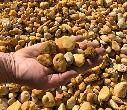 Western Gold Pebbles