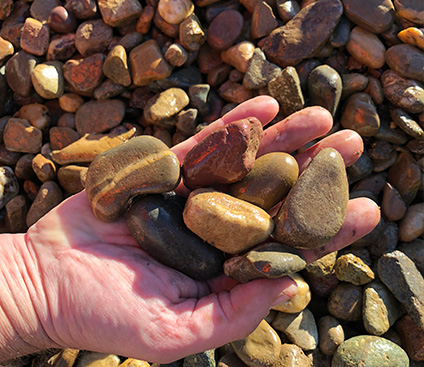 40mm nepean river pebbles